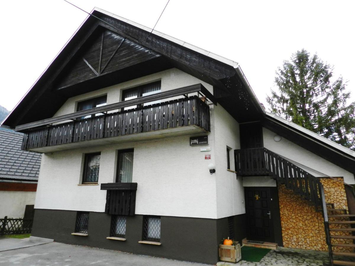 Apartments Koblar 크라니스카고라 외부 사진
